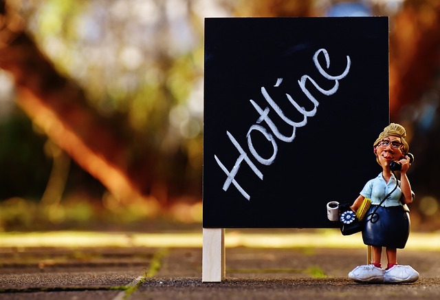 Image futureofmusicfestival.co.uk 1045 1746573018938